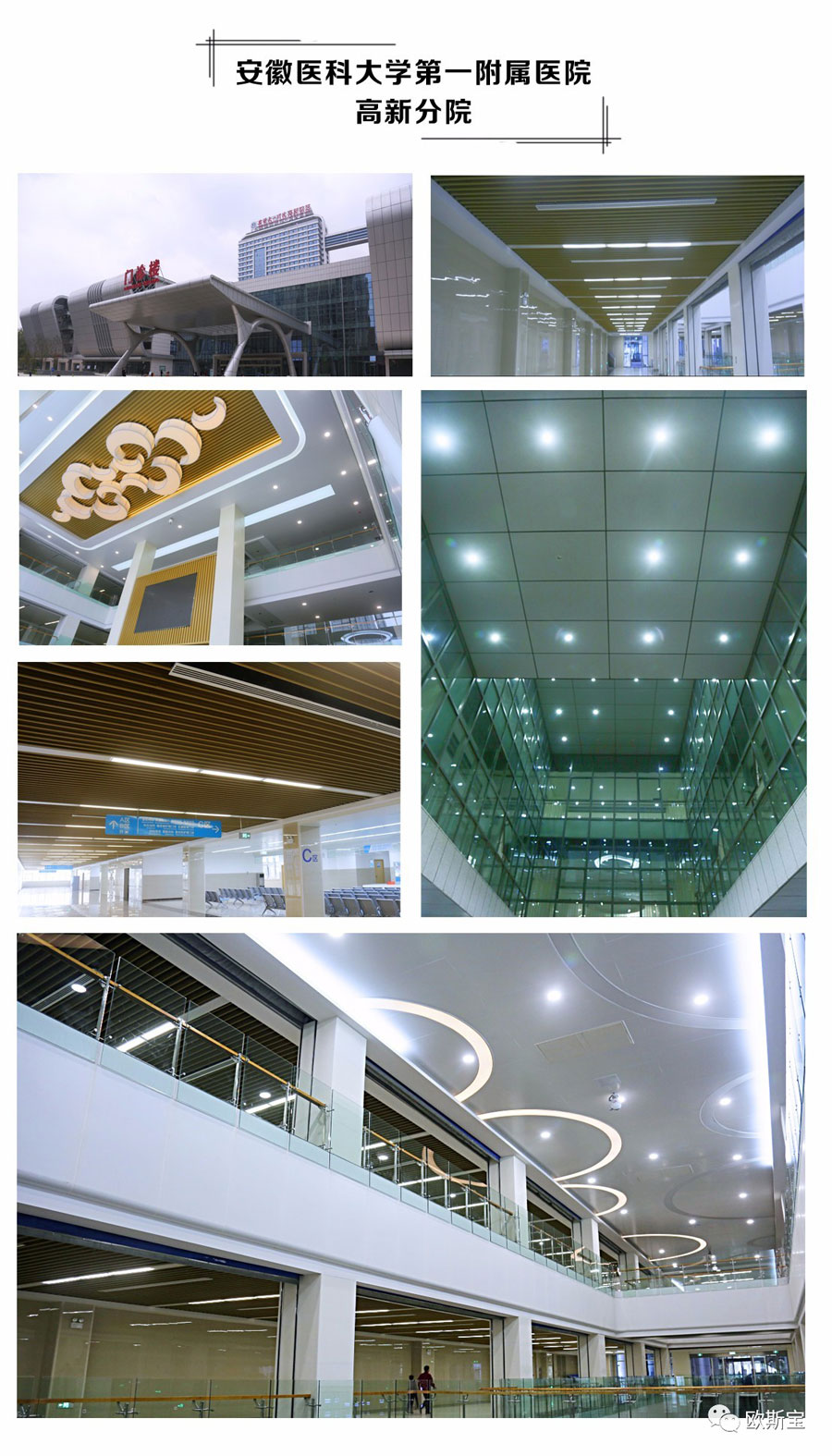 輝煌2017 | 歐斯寶大型工程，六大領域，耀世奪目