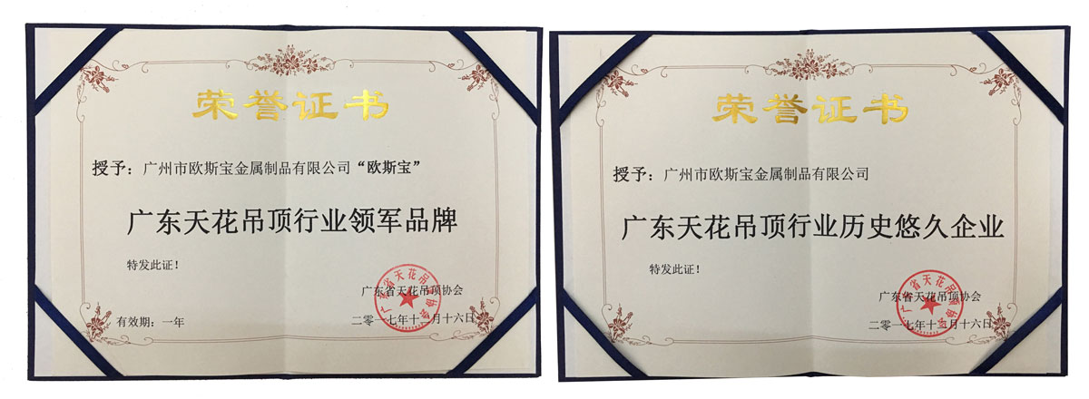 廣東天花吊頂行業領軍品牌