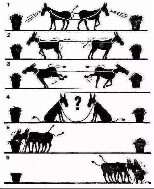 【歐斯寶團隊】論成功的自我修養！